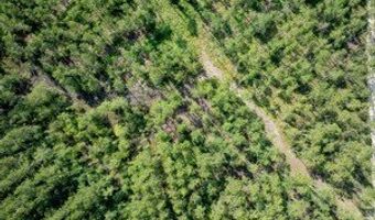 542 Lilla B Gaskins Rd, Alapaha, GA 31622