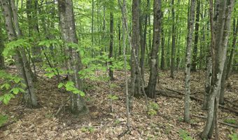 5 Panaway Dr 11-1-3, Campton, NH 03223