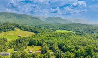 1070 Bill Martin Rd, Afton, TN 37616
