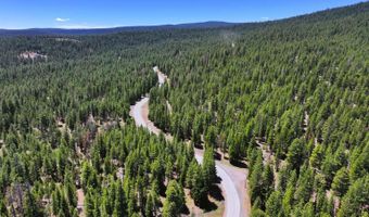 7783 California Pines Blvd, Alturas, CA 96101