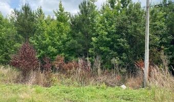 Daniels Lane lot 1-C, Bennettsville, SC 29512