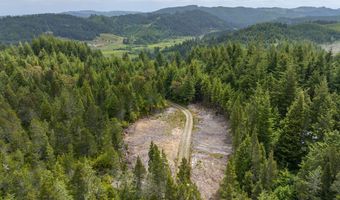 54431 Morrison Rd, Bandon, OR 97411