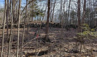 M 3 - L 15-1 & 2 Prospect Mountain Road, Alton, NH 03809