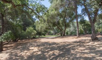 336 Catalpa Ln, Angels Camp, CA 95222