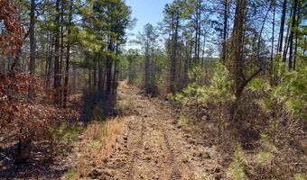 0 Adams Road - Lots 14 & 15 Lots, Bankston, AL 35542