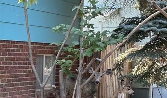 1024 Red Butte Ave, Cody, WY 82414