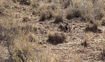 PUEBLO Drive, Abiquiu, NM 87510