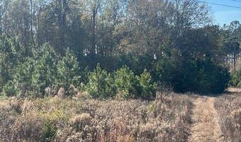 1300 Red Oak Rd, Barnwell, SC 29812