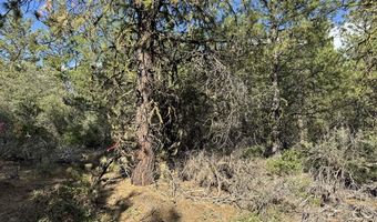 Thunderbear Road 46, Bonanza, OR 97623