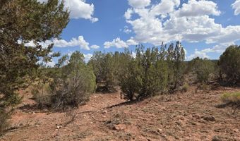 215 Off Cathedral Vly, Ash Fork, AZ 86320
