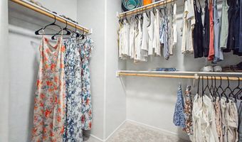3715 E BLUEBIRD Pl, Chandler, AZ 85286