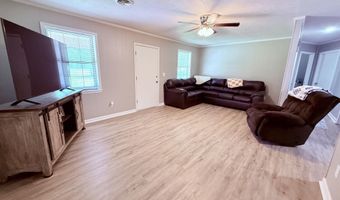 1154 MS-9, Blue Springs, MS 38828