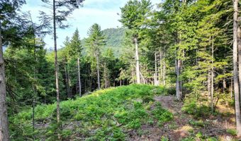 F4 Cave Mountain Drive, Bartlett, NH 03812