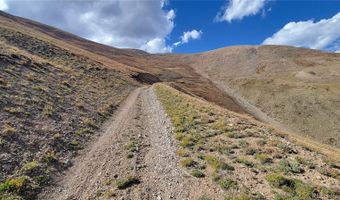 Ms # 17664- LAST ROSE BARRY LYNDON RORY OMORE - 66.66%, Alma, CO 80420