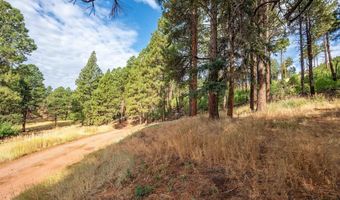 57 Pine Dr, Bayfield, CO 81122