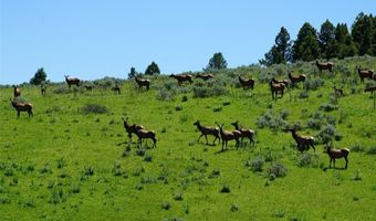 Timberloft, Big Sky, MT 59716