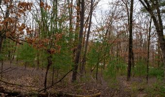 Dover Drive lot 1 14 Ac, Adams, WI 53910