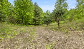 15380 Lake Bluff Dr, Arcadia, MI 49613