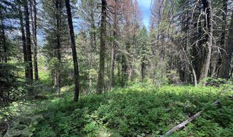 Tbd Hilltop Road 43 & 44, Cascade, ID 83611