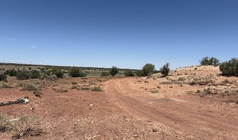 156 N9046, Concho, AZ 85924
