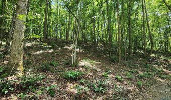 4622 Parker Loop Rd, Birchwood, TN 37308
