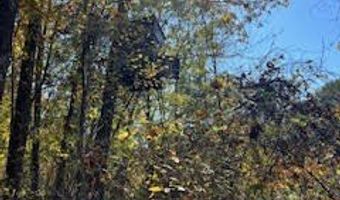 Perry Chapel Road, Ashland, MS 38603