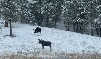 TBD County Road 59, Allenspark, CO 80510