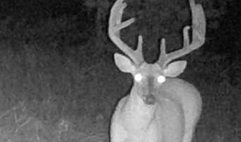 0001 E 1960 Rd, Antlers, OK 74523