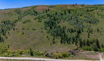 unit 1 1, Bloomington, ID 83223