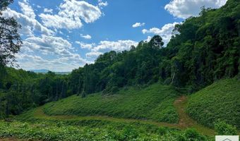 0 Sunset Dr, Bassett, VA 24055