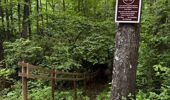 Tdb Cove Creek Rd, Bastian, VA 24314