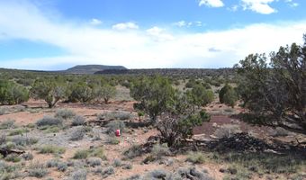32 N8544 398, Concho, AZ 85924