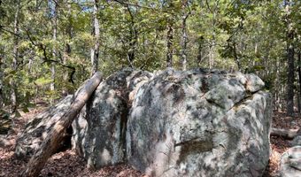 Tract 52 E 1885 Road, Antlers, OK 74523