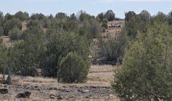 245 Antelope Run Rd, Ash Fork, AZ 86320