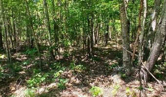0000000 Easement, Annapolis, MO 63620