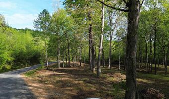 KAW-LIGA Dr, Bath Springs, TN 38311