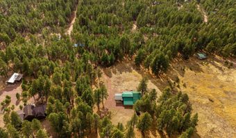 7 A County Road N2312, Alpine, AZ 85920