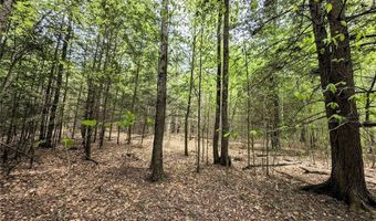 Stewart Road, Addison, NY 14801