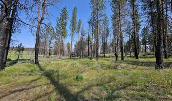 Parazoo Trail Lot 2 Block 8, Bly, OR 97622