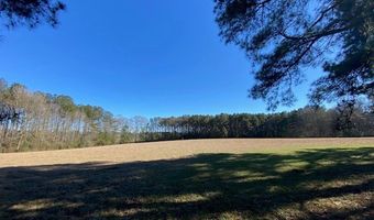 TBD Bogue Chitto Road SW, Bogue Chitto, MS 39629