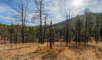 0 Cougar Cir Ct, Bellvue, CO 80512