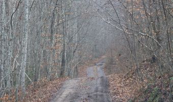 Brair Fork Road, Bean Station, TN 37708