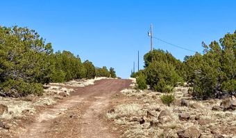 74 County Road 8056, Concho, AZ 85924