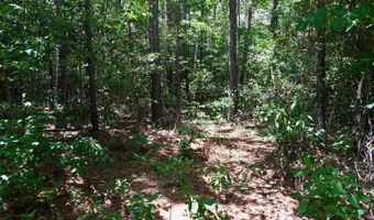 Rooks Road, Atkinson, NC 28421