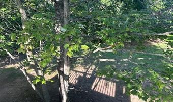 7181 MAPLE, Alanson, MI 49706