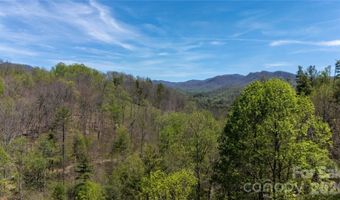 Mitchell Avenue, Bakersville, NC 28705