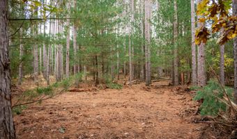 Lot 87 20th Avenue, Arkdale, WI 54613