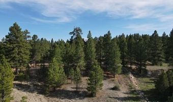 2820 N Dead Horse Lp, Alton, UT 84710