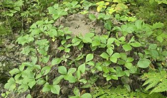 Cummings Lane, Acton, ME 04468