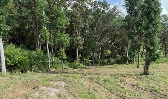 Lot 113 Boathouse Drive, Guntersville, AL 35976